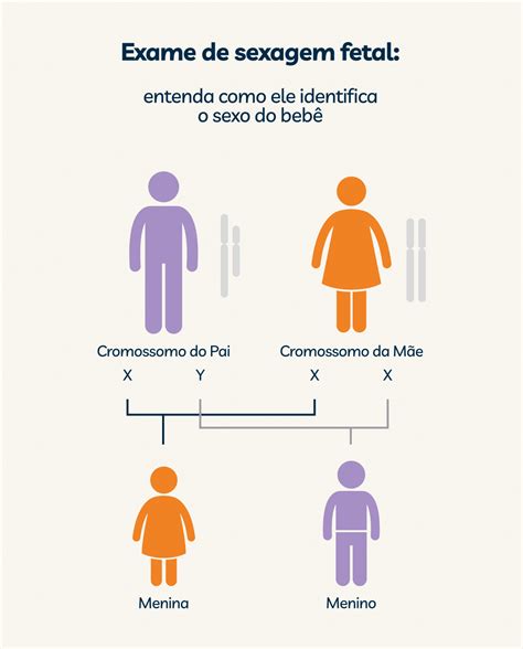 sexagem fetal hermes pardini|Veja como identificar o sexo do seu bebê com a sexagem fetal.